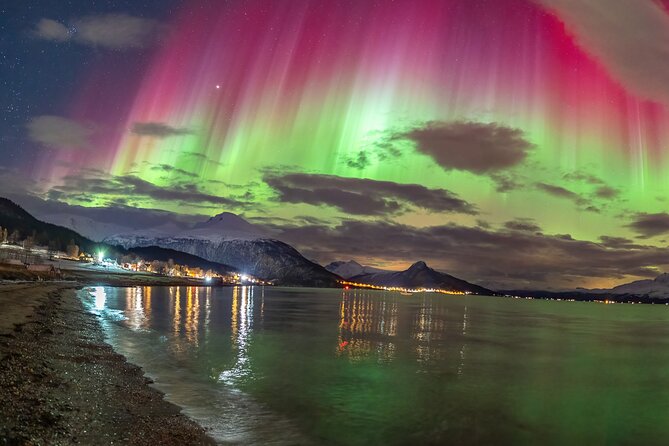 Chasing the Northern Lights in Norway: 4 Awesome Holidays for 2024